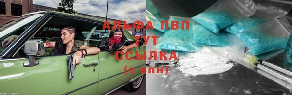 прущие грибы Алзамай