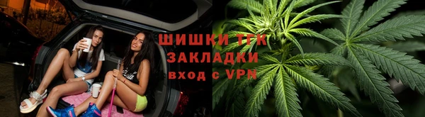 прущие грибы Алзамай