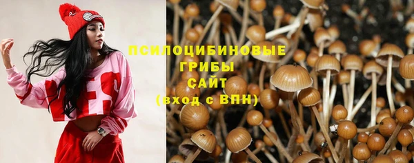 каннабис Алексеевка