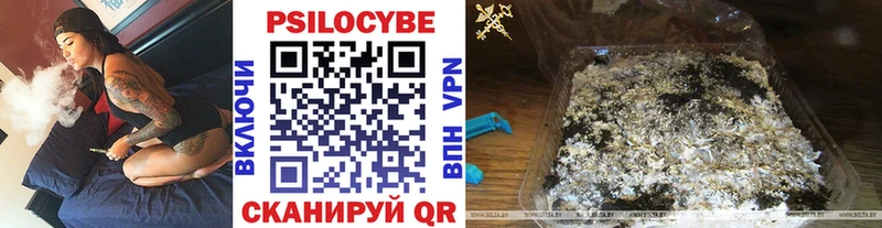 Галлюциногенные грибы Cubensis  блэк спрут сайт  Гаджиево 