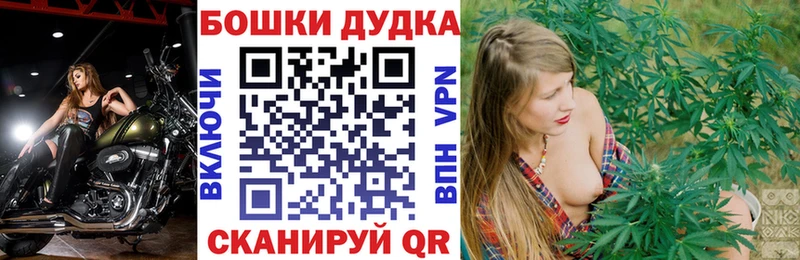 ОМГ ОМГ ссылки  Гаджиево  Канабис планчик 